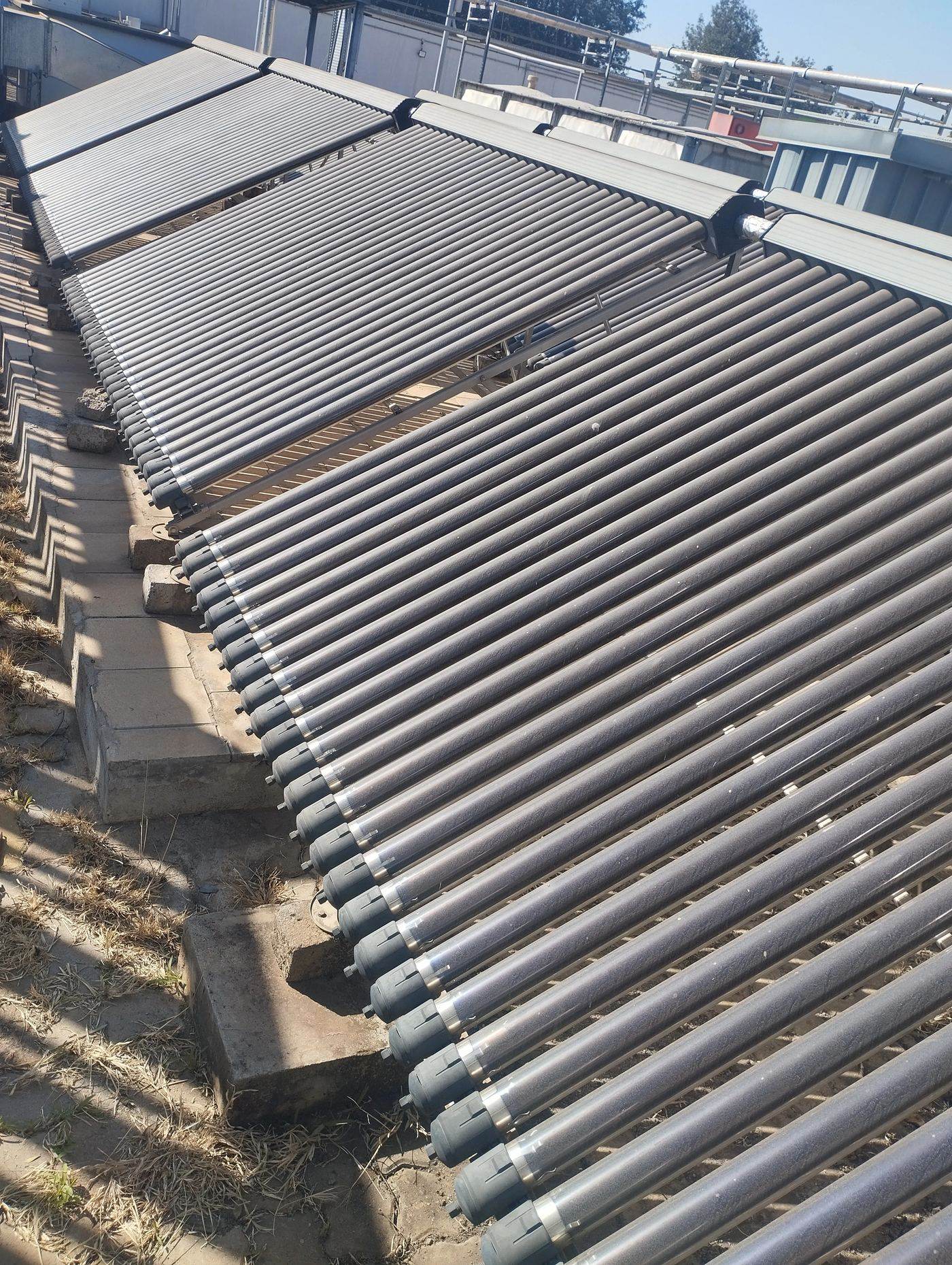 Solar tube water heater array